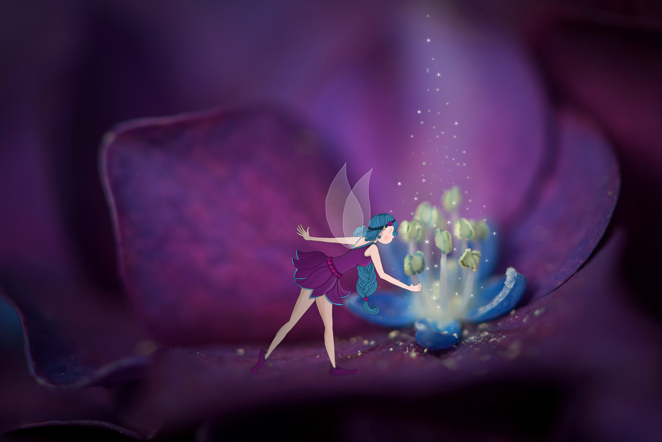 Illustration d’une petite fée s’approchant du cœur lumineux d’une fleur violette, dans une scène mêlant photographie macro et dessin.