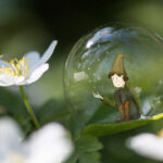 Photographie d’une petite fleur blanche dans la nature, avec un personnage illustré assis à l’intérieur d’une bulle transparente posée sur une feuille.