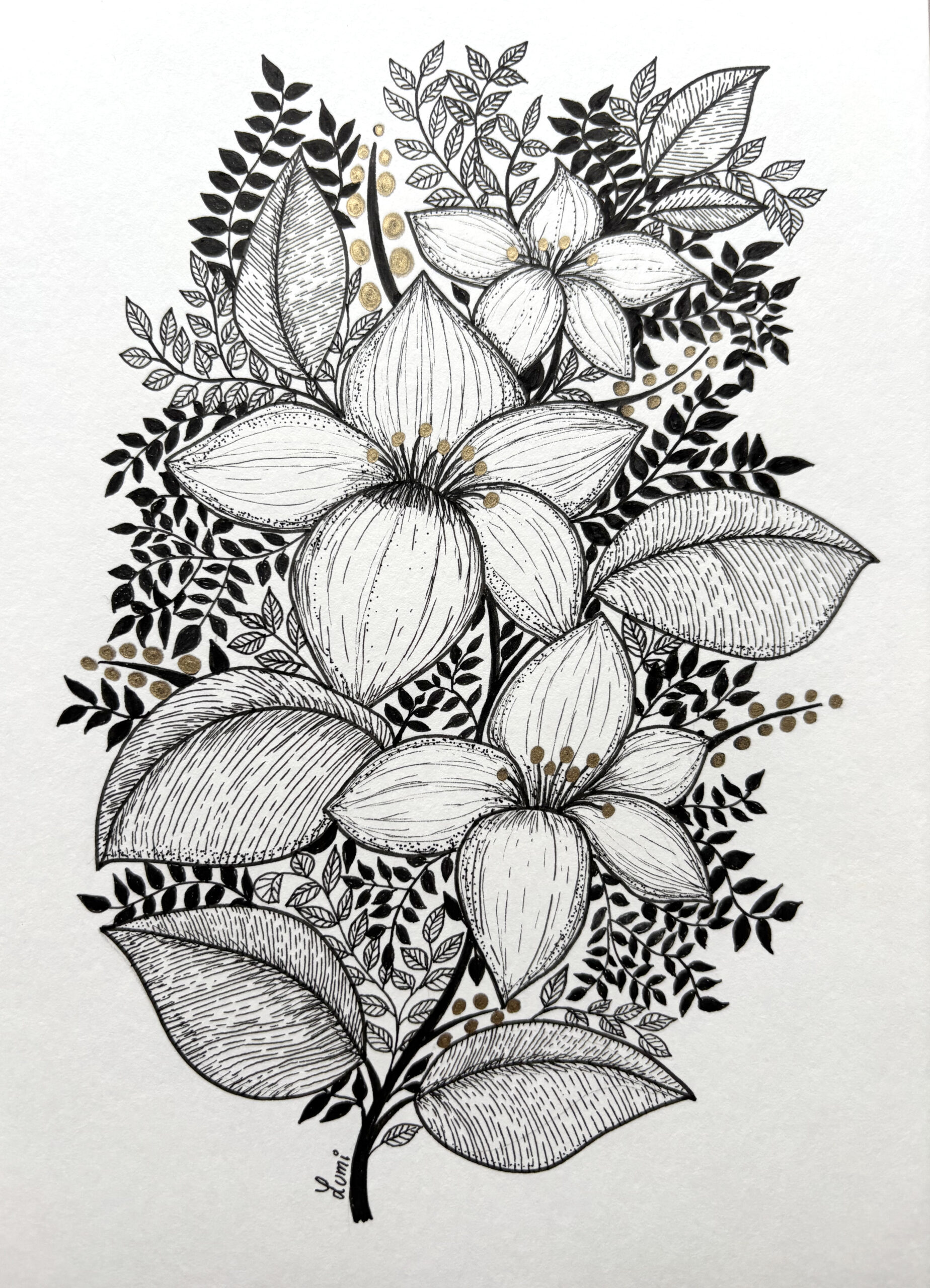 Illustration botanique en noir et or, aux formes végétales détaillées.