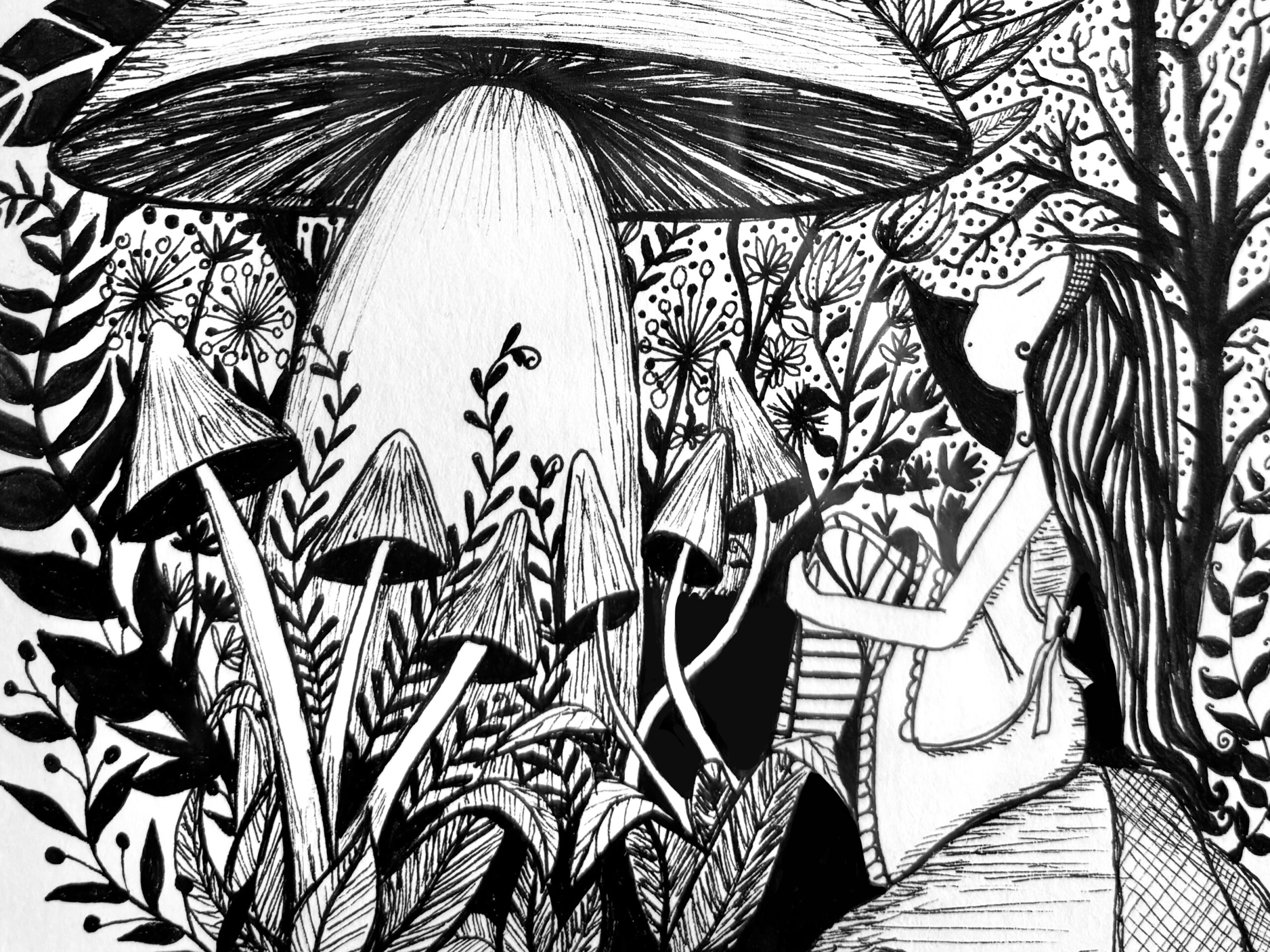 dessins en noir et blanc de Alice assise dans la végétation.