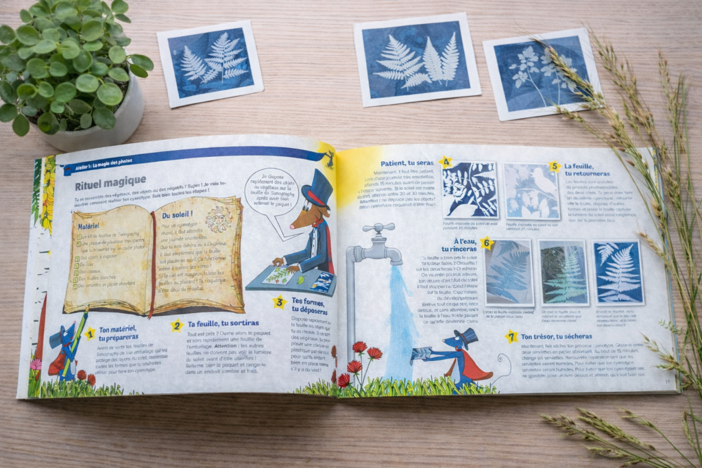Livre jeunesse « CLIC ! Le manuel des petits photographes » ouvert sur une table en bois clair, accompagné d’une petite plante verte, de graminées séchées et de plusieurs cyanotypes botaniques disposés autour.